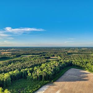 Photo #34 of TBD Chair Rd., Hemingway, SC 30.2 acres