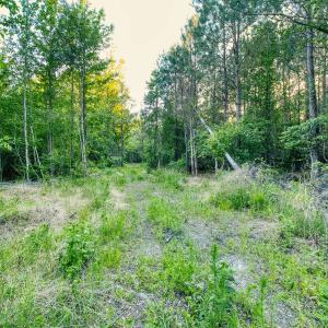 Photo #20 of TBD Chair Rd., Hemingway, SC 30.2 acres