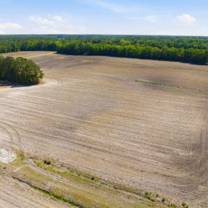 Photo #23 of 9475 Lake Swamp Rd., Nichols, SC 179.0 acres