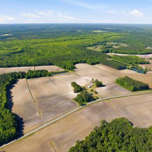 Photo #19 of 9475 Lake Swamp Rd., Nichols, SC 179.0 acres