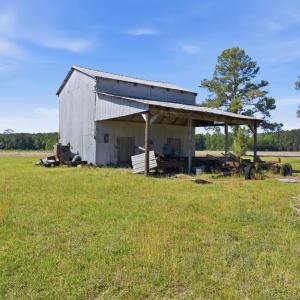 Photo #34 of 9475 Lake Swamp Rd., Nichols, SC 179.0 acres