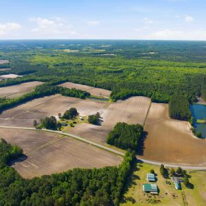 Photo #3 of 9475 Lake Swamp Rd., Nichols, SC 179.0 acres
