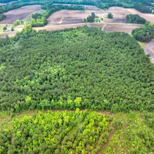 Photo #27 of 9475 Lake Swamp Rd., Nichols, SC 179.0 acres