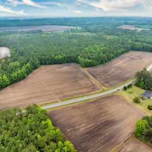 Photo #25 of 9475 Lake Swamp Rd., Nichols, SC 179.0 acres