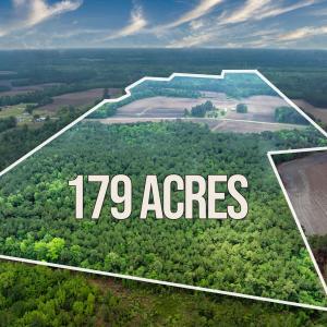 Photo #2 of 9475 Lake Swamp Rd., Nichols, SC 179.0 acres