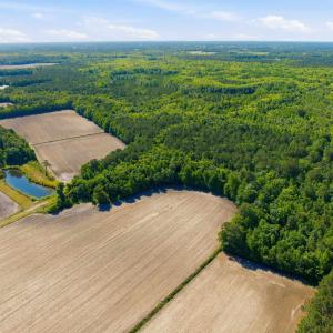 Photo #17 of 9475 Lake Swamp Rd., Nichols, SC 179.0 acres