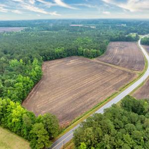 Photo #24 of 9475 Lake Swamp Rd., Nichols, SC 179.0 acres
