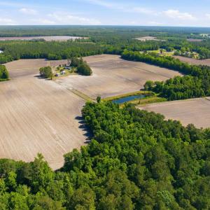 Photo #21 of 9475 Lake Swamp Rd., Nichols, SC 179.0 acres