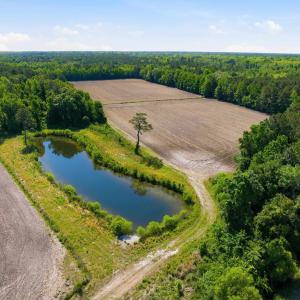 Photo #8 of 9475 Lake Swamp Rd., Nichols, SC 179.0 acres
