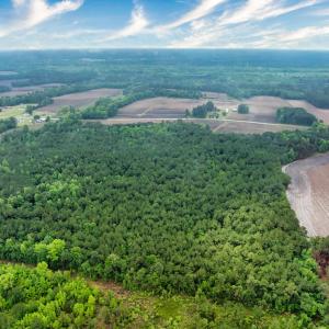 Photo #26 of 9475 Lake Swamp Rd., Nichols, SC 179.0 acres