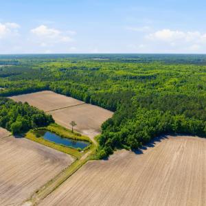 Photo #18 of 9475 Lake Swamp Rd., Nichols, SC 179.0 acres