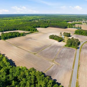 Photo #20 of 9475 Lake Swamp Rd., Nichols, SC 179.0 acres