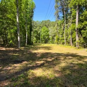 Photo #5 of 9904 Highway 17 North, McClellanville, SC 3.2 acres