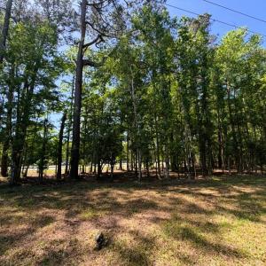 Photo #7 of 9904 Highway 17 North, McClellanville, SC 3.2 acres
