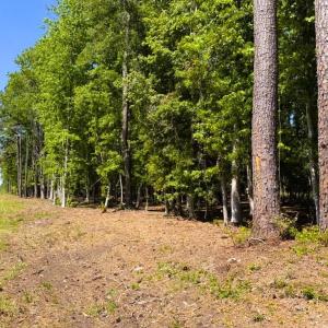 Photo #3 of 9904 Highway 17 North, McClellanville, SC 3.2 acres