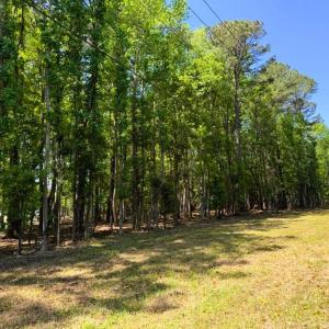 Photo #9 of 9904 Highway 17 North, McClellanville, SC 3.2 acres