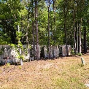 Photo #14 of 9904 Highway 17 North, McClellanville, SC 3.2 acres