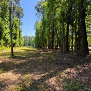 Photo #13 of 9904 Highway 17 North, McClellanville, SC 3.2 acres
