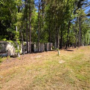 Photo #17 of 9904 Highway 17 North, McClellanville, SC 3.2 acres