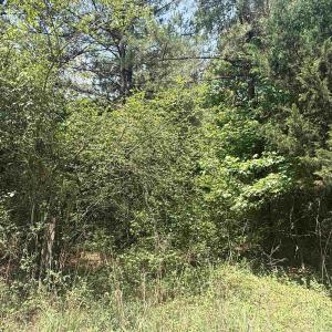 Photo #3 of Lot 1 Brantly Rd., Andrews, SC 1.1 acres