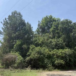 Photo #4 of Lot 1 Brantly Rd., Andrews, SC 1.1 acres
