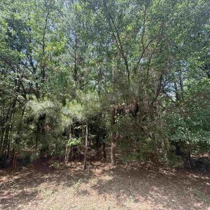Photo #1 of Lot 1 Brantly Rd., Andrews, SC 1.1 acres