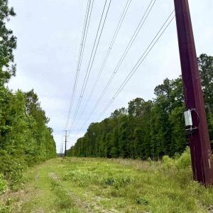 Photo #3 of Tract A - TBD Pennyroyal Rd., Georgetown, SC 25.0 acres