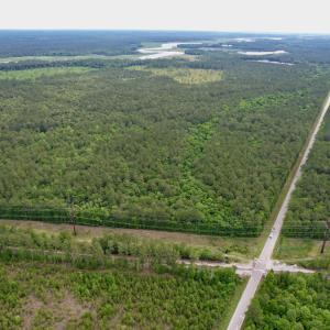 Photo #8 of Tract A - TBD Pennyroyal Rd., Georgetown, SC 25.0 acres