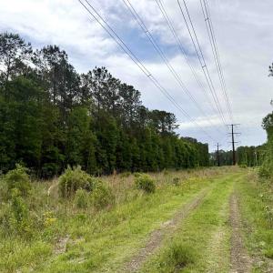Photo #2 of Tract A - TBD Pennyroyal Rd., Georgetown, SC 25.0 acres