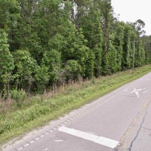 Photo #9 of Tract A - TBD Pennyroyal Rd., Georgetown, SC 25.0 acres