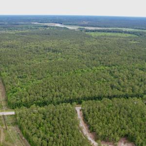 Photo #7 of Tract A - TBD Pennyroyal Rd., Georgetown, SC 25.0 acres