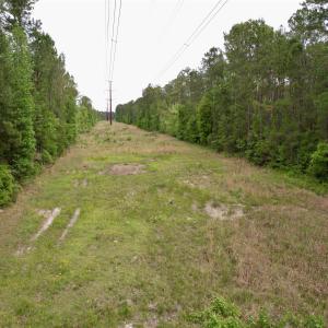 Photo #14 of Tract A - TBD Pennyroyal Rd., Georgetown, SC 25.0 acres