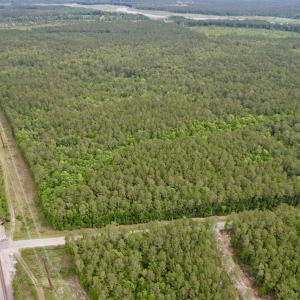 Photo #1 of Tract A - TBD Pennyroyal Rd., Georgetown, SC 25.0 acres