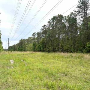 Photo #4 of Tract A - TBD Pennyroyal Rd., Georgetown, SC 25.0 acres