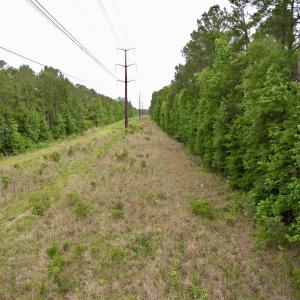 Photo #11 of Tract A - TBD Pennyroyal Rd., Georgetown, SC 25.0 acres