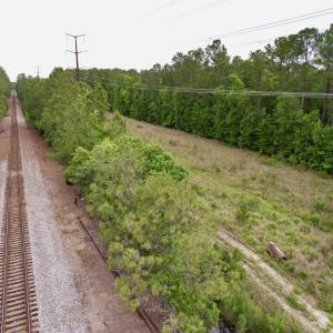 Photo #10 of Tract A - TBD Pennyroyal Rd., Georgetown, SC 25.0 acres