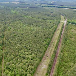 Photo #6 of Tract A - TBD Pennyroyal Rd., Georgetown, SC 25.0 acres