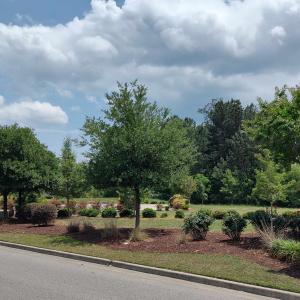 Photo #2 of TBD Ronald McNair Blvd., Myrtle Beach, SC 1.2 acres