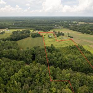 Photo #3 of 1175 Highway 9, Loris, SC 32.0 acres