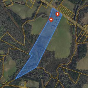 Photo #4 of 1175 Highway 9, Loris, SC 32.0 acres