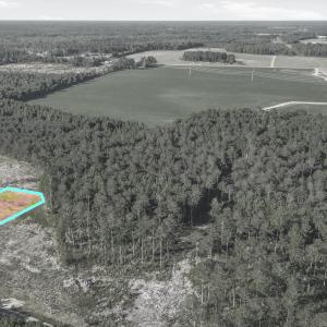Photo #10 of TBD Sawyer Rd., Marion, SC 1.1 acres