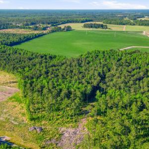 Photo #4 of TBD Sawyer Rd., Marion, SC 1.1 acres