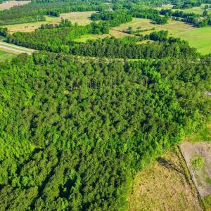 Photo #7 of TBD Sawyer Rd., Marion, SC 1.1 acres