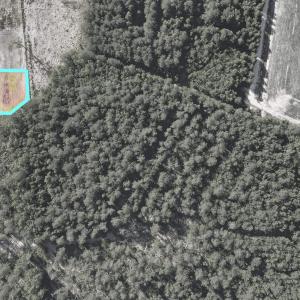 Photo #9 of TBD Sawyer Rd., Marion, SC 1.1 acres