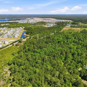 Photo #7 of 101 Acres Old Highway 90, Conway, SC 101.5 acres