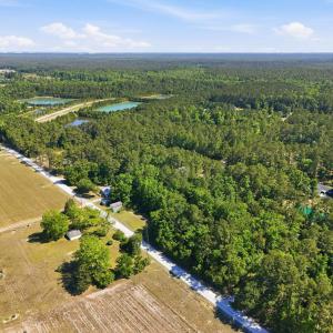 Photo #10 of 101 Acres Old Highway 90, Conway, SC 101.5 acres