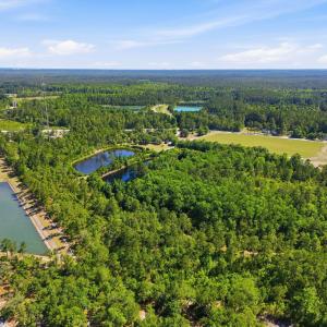 Photo #9 of 101 Acres Old Highway 90, Conway, SC 101.5 acres