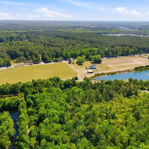 Photo #5 of 101 Acres Old Highway 90, Conway, SC 101.5 acres