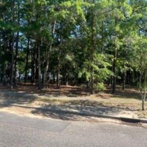Photo #2 of 1791 Old Town Ave., Georgetown, SC 0.2 acres