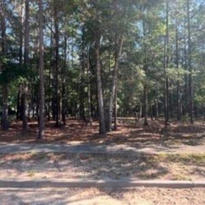 Photo #1 of 1791 Old Town Ave., Georgetown, SC 0.2 acres